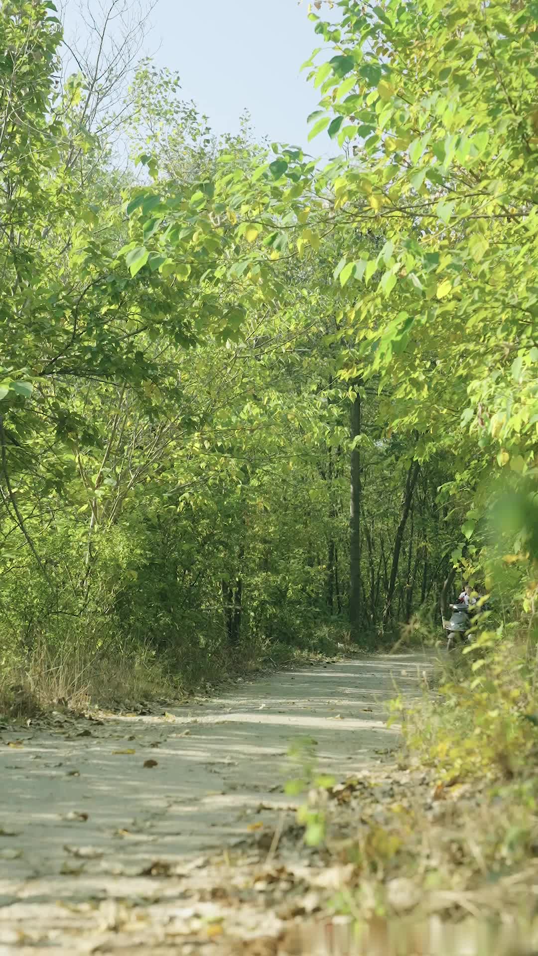 الحلقة 25 - مطاردة الرياح